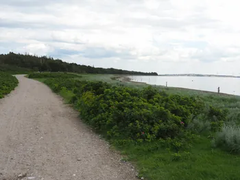 Halshuisene + Enebaerodde Beach (Denemarken)